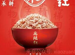 元阳商城邀请9名好友关注送价值29.9元的500克农耕红米 免费实物 活动线报 第1张 元阳商城邀请9名好友关注送价值29.9元的500克农耕红米 免费实物 活动线报 第1张