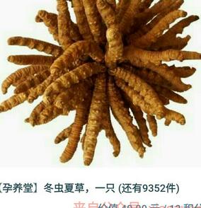 孕养堂邀请10名好友关注送价值40元的冬虫夏草免费包邮 免费实物 活动线报 第1张 孕养堂邀请10名好友关注送价值40元的冬虫夏草免费包邮 免费实物 活动线报 第1张