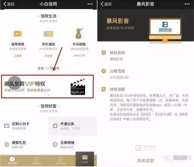 京东小白信用≥90即可领取7天暴风影音视频VIP会员 免费会员VIP 活动线报 第3张 京东小白信用≥90即可领取7天暴风影音视频VIP会员 免费会员VIP 活动线报 第3张