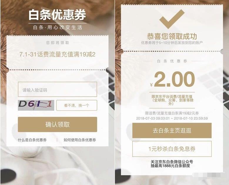 京东金融送19 2元话费白条立减券 免费话费 优惠福利  第3张