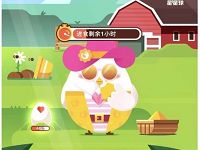 支付宝蚂蚁庄园送花呗红包随机支付宝红包 支付宝红包 活动线报  第1张