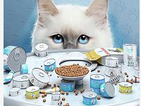 天猫猫粮超品饿了么专场领6 20元饿了么外卖红包 外卖优惠券 优惠福利  第1张