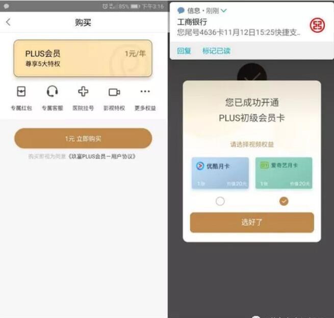 玖富钱包开通PLUS会员1元领爱奇艺优酷会员 免费会员VIP 活动线报 第3张 玖富钱包开通PLUS会员1元领爱奇艺优酷会员 免费会员VIP 活动线报 第3张