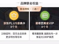 携程超级会员年终盛典44元购8个月爱奇艺会员/京东PLUS 免费会员VIP 活动线报  第1张