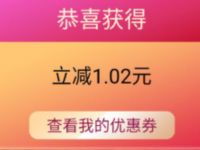 京东年货节宠爱翻倍送随机白条券，支付券 京东 优惠福利  第1张