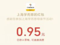 上海学而思测测你是哪种老母亲抽0.95元微信红包 上海学而思 微信红包 活动线报  第1张