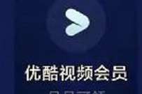 支付宝财富黑卡等级权益，月月领优酷VIP会员月卡 免费优酷会员VIP 优酷会员 免费会员VIP 活动线报  第1张