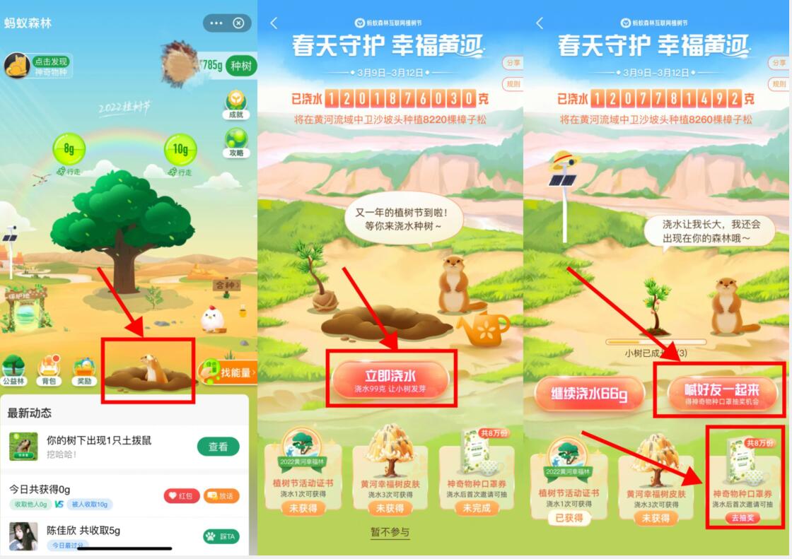 支付宝蚂蚁森林喊好友一起来,抽口罩兑换券 免费实物 活动线报 第2张 支付宝蚂蚁森林喊好友一起来,抽口罩兑换券 免费实物 活动线报 第2张