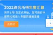 个人所得税年度汇算，预约退税