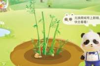 浦发银行低碳游戏,兑换5元京东E卡 支付宝红包 活动线报 第1张 浦发银行低碳游戏,兑换5元京东E卡 支付宝红包 活动线报 第1张