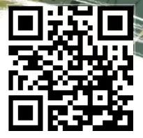 中国邮政邮客有礼,抽京东e卡手机话费 京东 活动线报 第2张 中国邮政邮客有礼,抽京东e卡手机话费 京东 活动线报 第2张