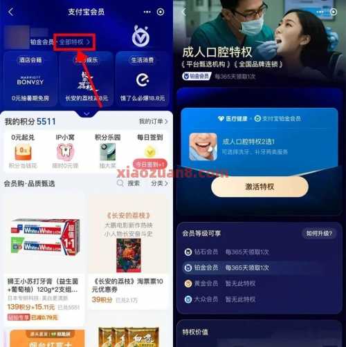 支付宝铂金会员特权，免费洗牙 支付宝 活动线报  第1张