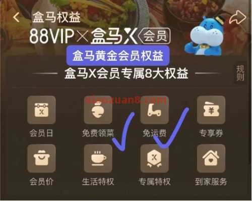 0.01撸盒马商品,盒马X会员免费领90天 88VIP 会员 盒马 淘宝 活动线报 第2张 0.01撸盒马商品,盒马X会员免费领90天 88VIP 会员 盒马 淘宝 活动线报 第2张