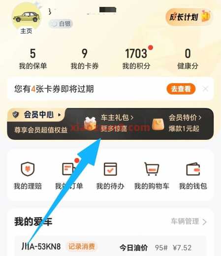 平安好车主每月礼包，电费券5 20元 平安好车主羊毛 电费券 活动线报  第1张